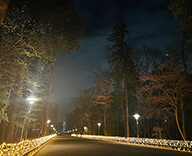 25 川越 敷地内園路 イルミネーション装飾 イルミネーション LED装飾 SEASONS 事例