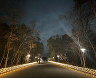 25 川越 敷地内園路 イルミネーション装飾 イルミネーション LED装飾 SEASONS 事例