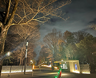 25 川越 敷地内園路 イルミネーション装飾 イルミネーション LED装飾 SEASONS 事例