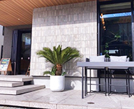 26 福岡 住宅展示場 観葉レンタル インテリア 観葉植物 hitotoki 事例