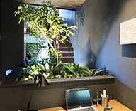 26 埼玉県 住宅展示場 観葉植物 観葉レンタル インテリア hitotoki 事例