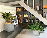 26 箕面 住宅展示場 観葉植物 観葉レンタル インテリア hitotoki 事例