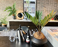 26 箕面 住宅展示場 観葉植物 観葉レンタル インテリア hitotoki 事例