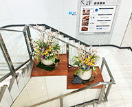 26 銀座 階段踊り場 造花 桜 春 SEASONS 事例