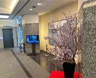 26 京橋 エントランス 日本橋 桜 春装飾 SEASONS 事例