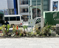 26 銀座4丁目 花壇 グレビレア ユッカ オージープランツ futatoki 事例