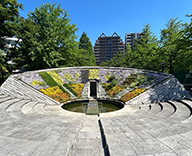 26 東京都 墨田区 都立公園 花壇管理 季節の花苗 futatoki 事例