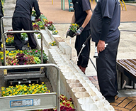 26 東京都 中央区 じゃぶ池 じゃぶじゃぶ池 花で彩り futatoki 事例