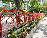 26 東京都 中央区 じゃぶ池 じゃぶじゃぶ池 花で彩り futatoki 事例