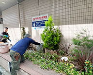 26 東京都 江戸川区 病院エントランス 花壇 植替え futatoki 事例