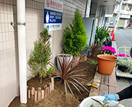 26 東京都 江戸川区 病院エントランス 花壇 植替え futatoki 事例