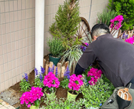 26 東京都 江戸川区 病院エントランス 花壇 植替え futatoki 事例
