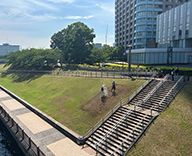 26 東京都 中央区 区政80周年 立体花壇 記念花壇 futatoki 事例