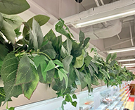 26 神戸学園都市 スーパーマーケット 造花装飾 ディスプレイ アートフラワー SEASONS 事例