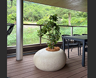 26 熊本 個人宅 観葉植物 装飾 インテリア SEASONS 事例