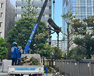 26 品川区 外構植栽 伐採 樹木検査 樹木医 futatoki 事例