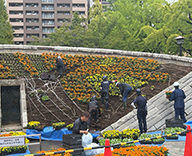 26 東京都 墨田区 横網町公園 慰霊碑花壇 立体花壇 futatoki 事例