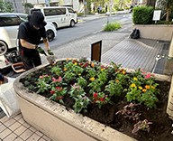 26 東京都 港区 マンション エントランス花壇 草花植栽 futatoki 事例