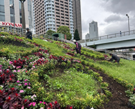 26 東京都 中央区 記念事業 区政80周年 立体花壇 futatoki 事例