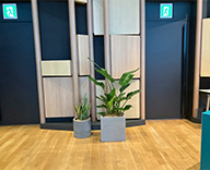 26 大手町 展示会 イベント装飾 観葉植物 レンタル hitotoki 事例