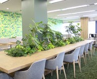 オフィススペース 観葉植物 レンタル 事例