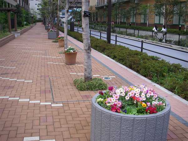 恵比寿・五反田マンション 草花