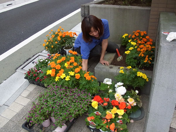 白山マンション 草花