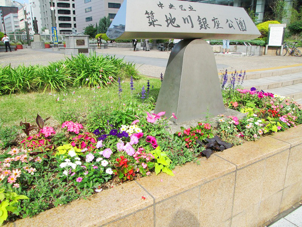 築地川銀座公園 草花