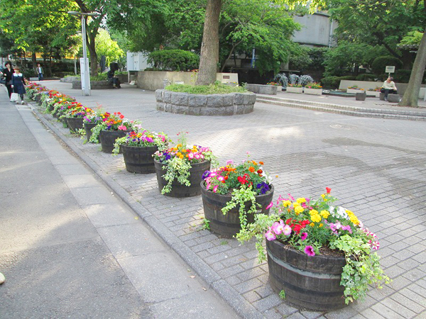 銀座数寄屋橋公園 草花