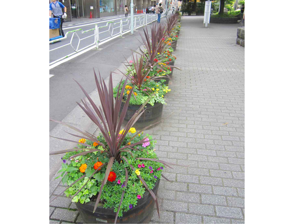 銀座数寄屋橋公園 草花