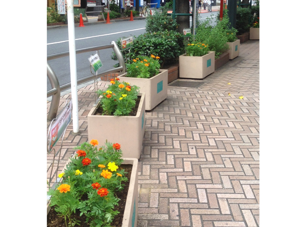 渋谷公園通り 草花