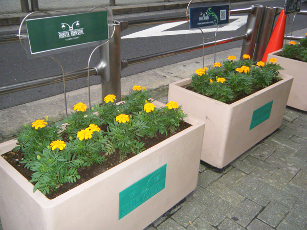 渋谷公園通り 草花