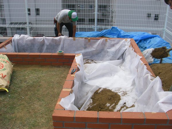 新宿病院屋上花壇 草花