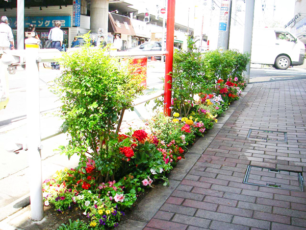 パチンコショップ 店頭路地植え花壇