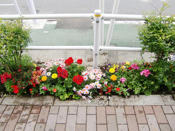 パチンコショップ 店頭路地植え花壇