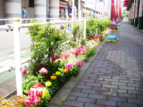 パチンコショップ 店頭路地植え花壇