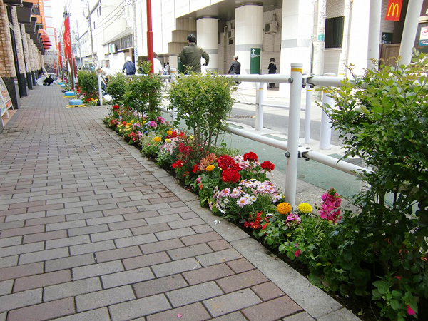 パチンコショップ 店頭路地植え花壇