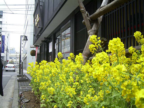 伝兵衛(横浜)