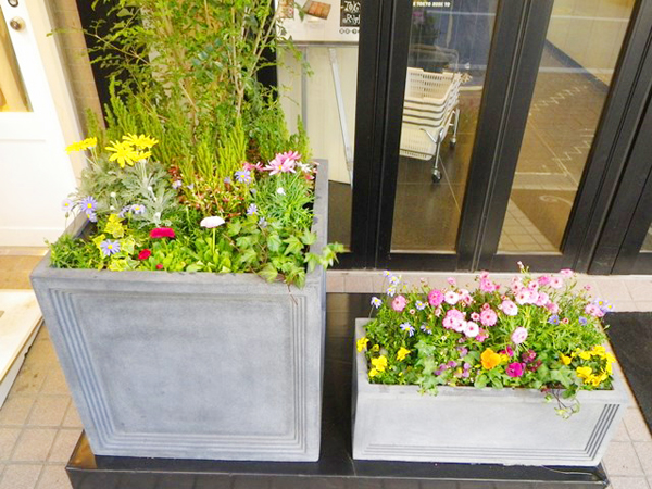 東京ラスク 三軒茶屋店