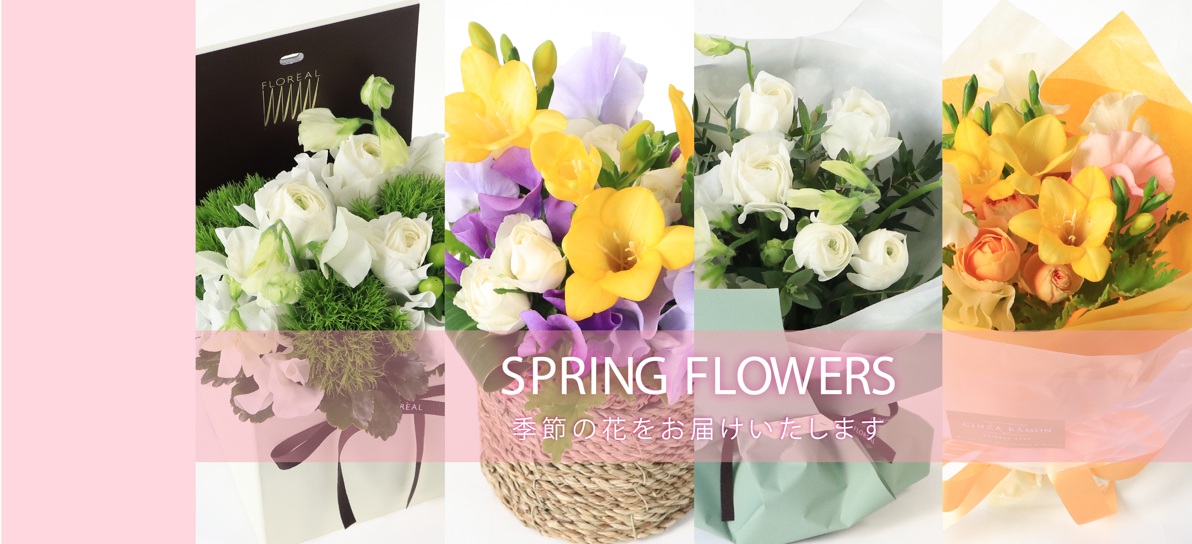 季節のおすすめ