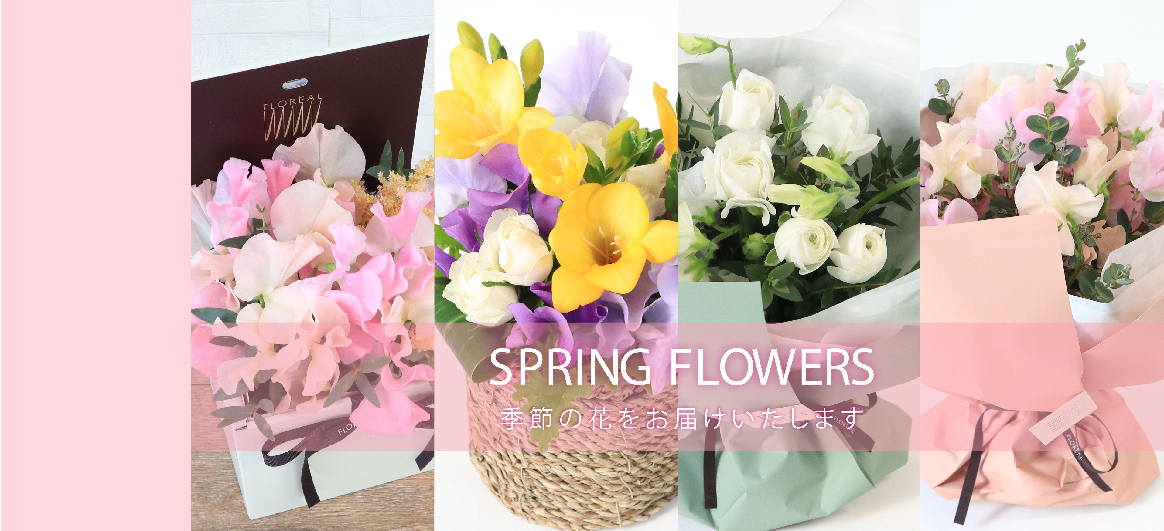 季節のおすすめ