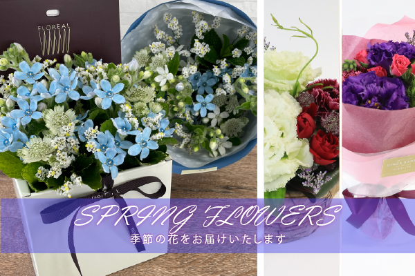 今月の花